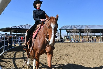 Giants to host equestrian event