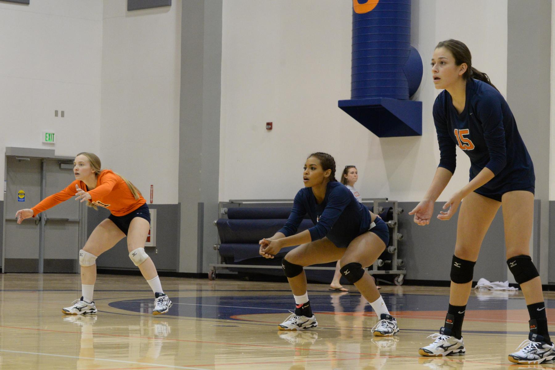 Volleyball come up short against the Lobos