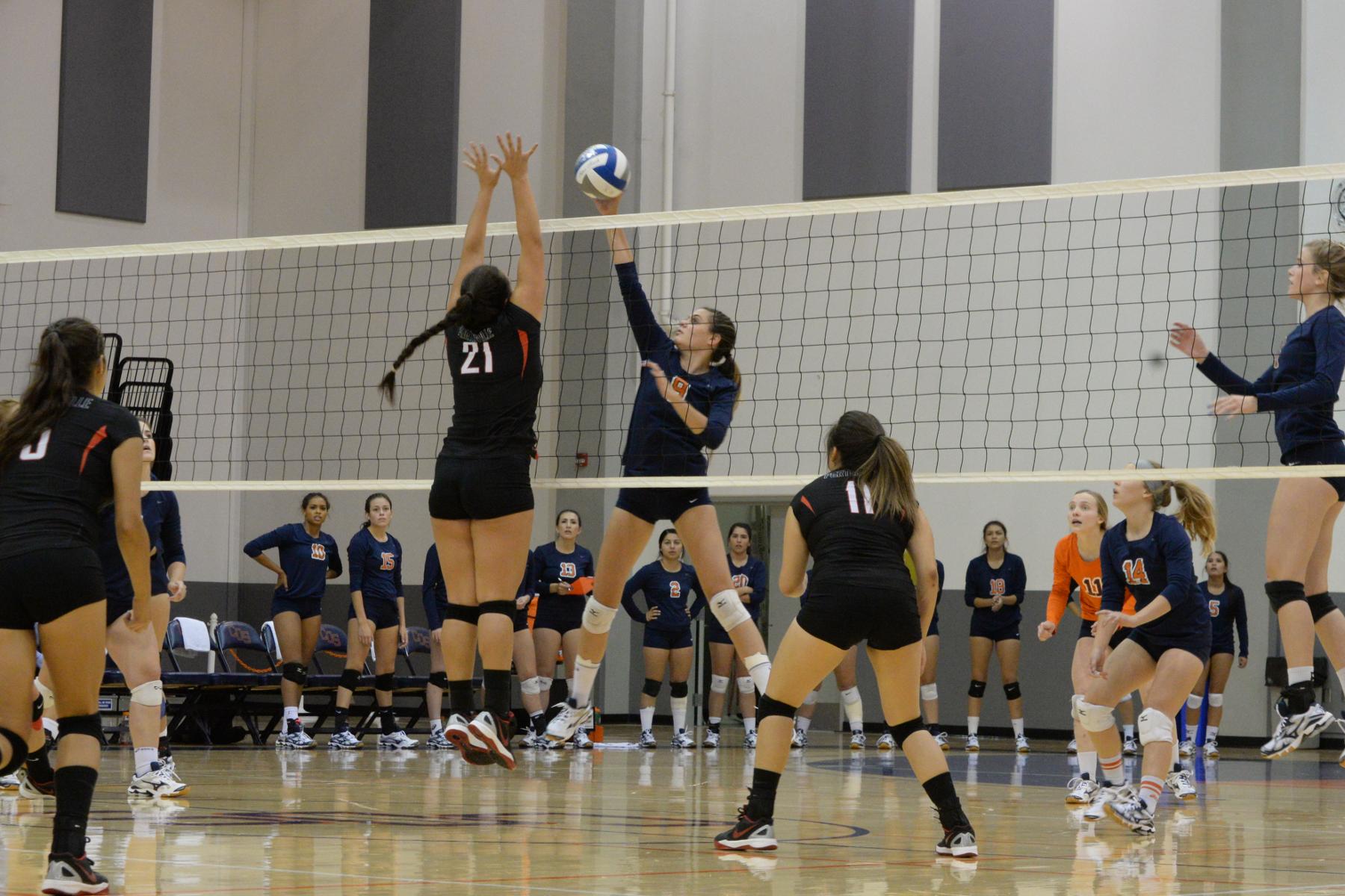 Volleyball stays undefeated in conference play