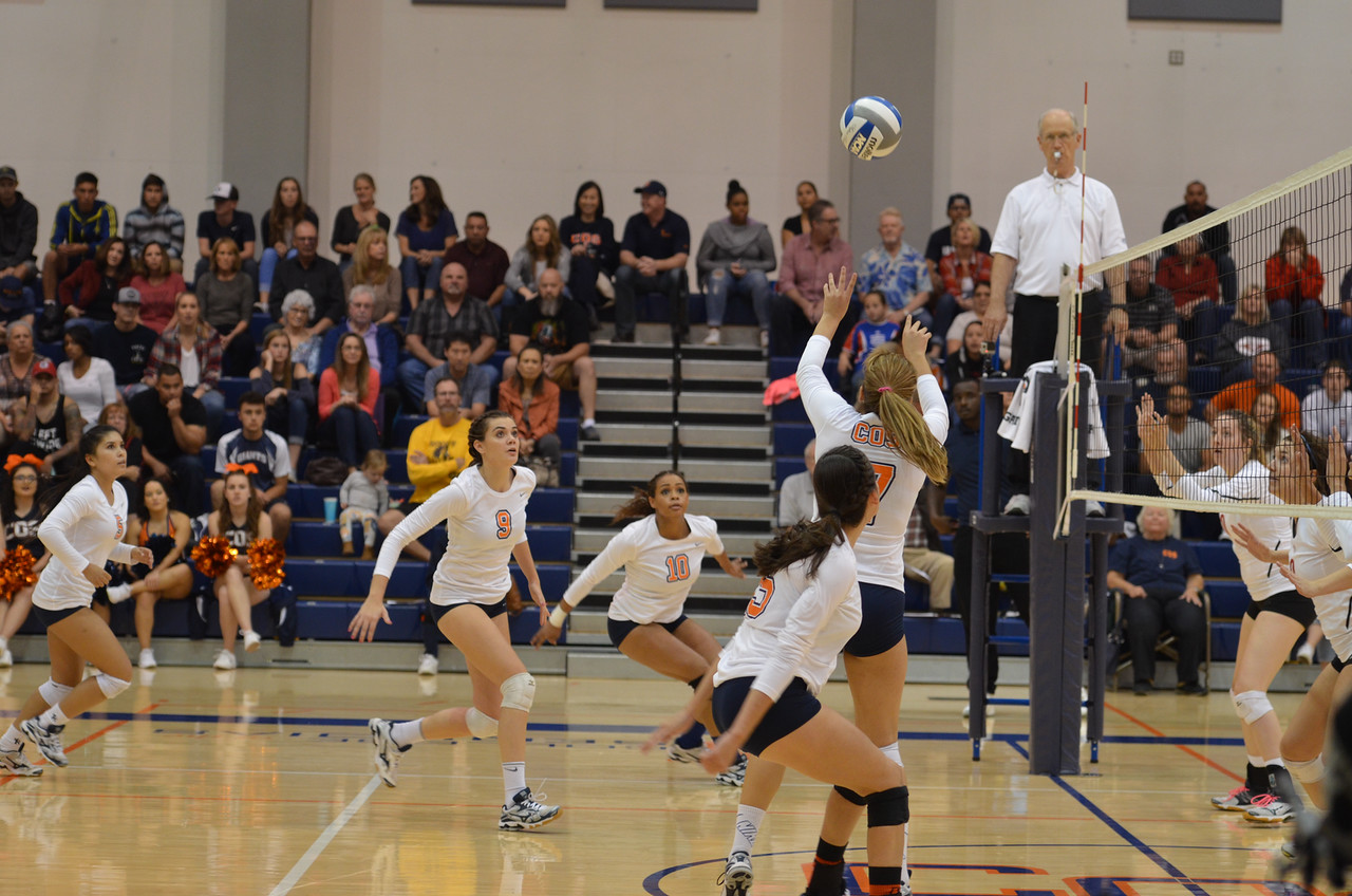 Volleyball defeated in season finale