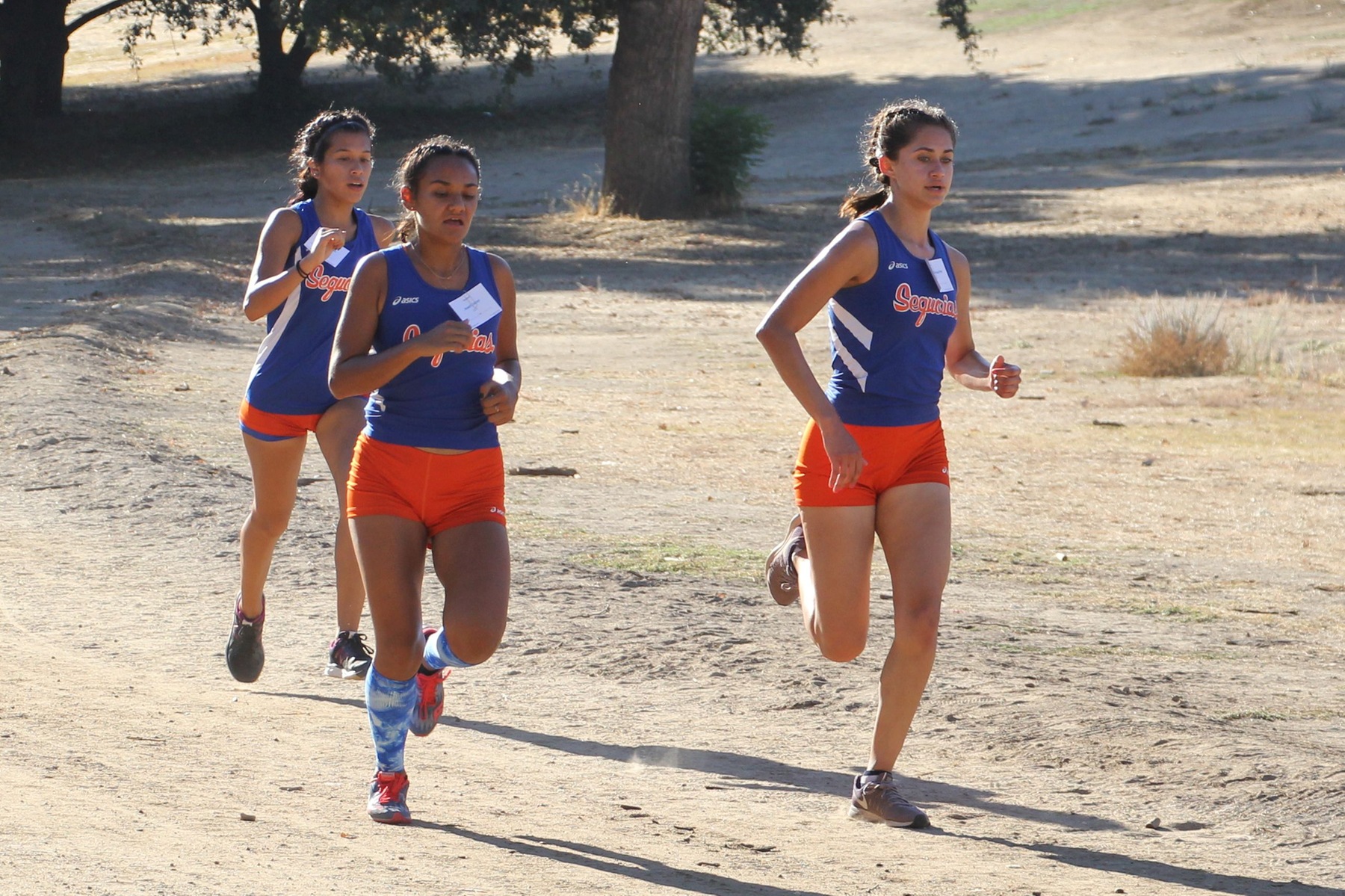 Lady Giants Dominate at Conference Championships