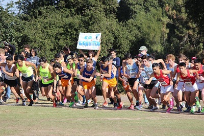 Sequoias cross country looks to produce multiple All-Americans